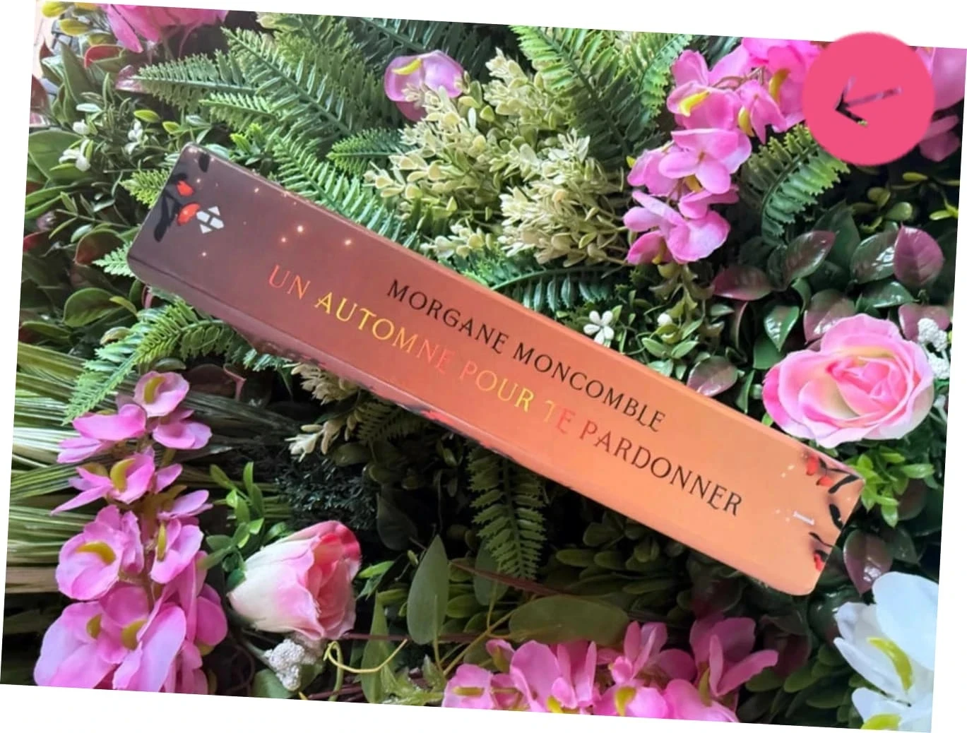 A Fall to Forgive You Morgane moncomble Book – photo 3